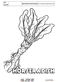 ingilizce boyama sayfaları